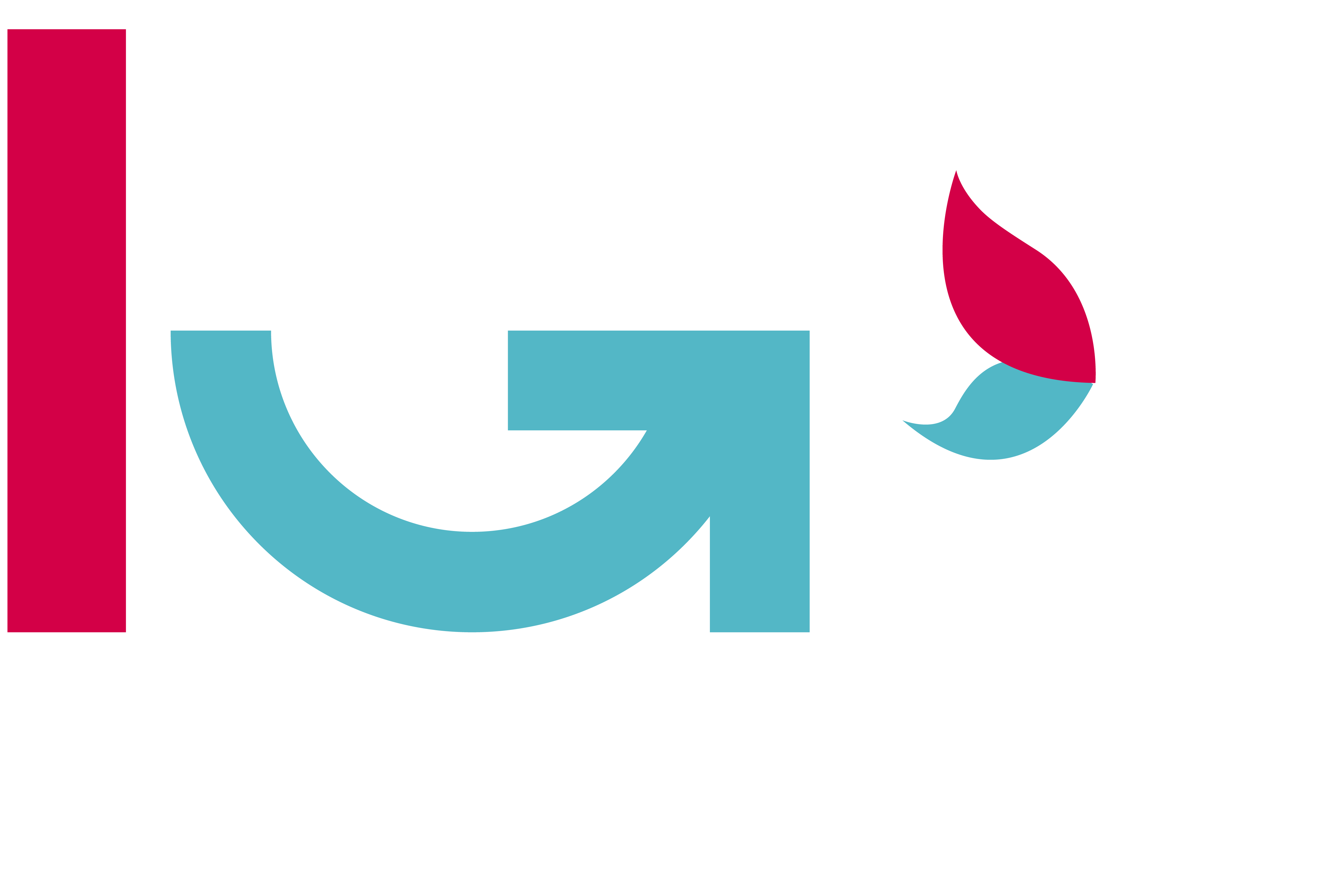 IgoBlog